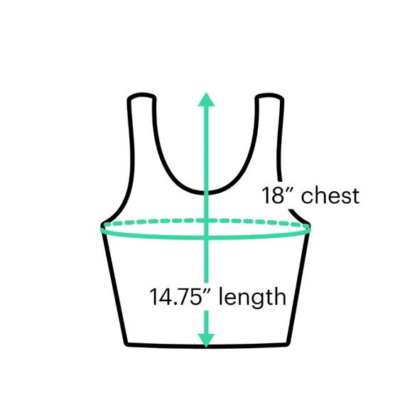 NWT Gab & Kate pastel blue and white floral crop top Size L 100% Rayon - Picture 3 of 10